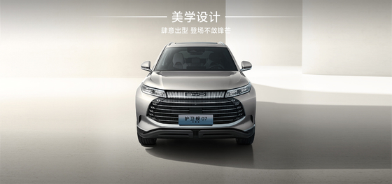 Fregata BYD07 100 km Typ elitarny