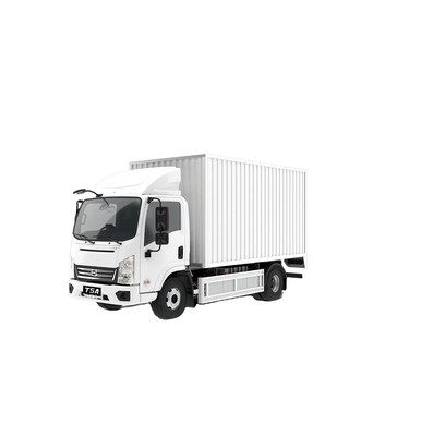 Nowy 240KM zasięg BYD T5A Czysty elektryczny Box Logistics Vehicle City Logistics