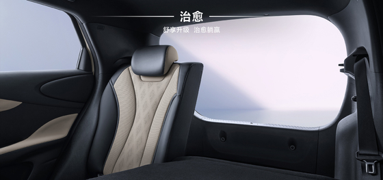 BYD 2025 420 km Dolphin Active Edition EV