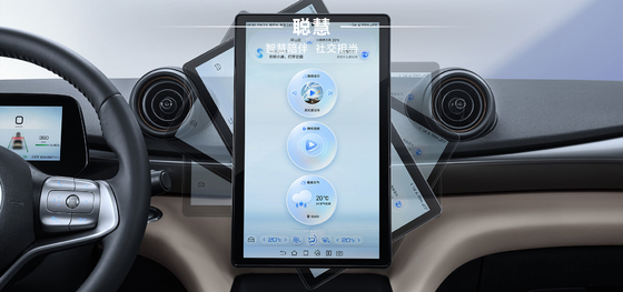 BYD 2025 420 km Dolphin Active Edition EV