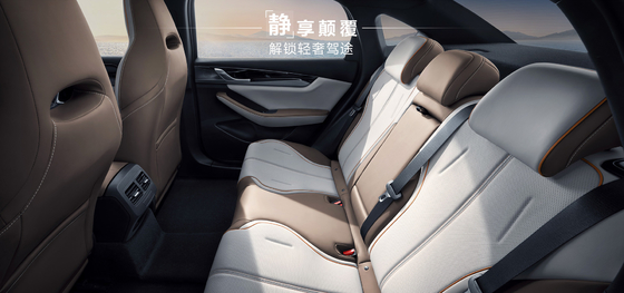 BYD Qin Plus DMI 102 km Wiodąca edycja Glory